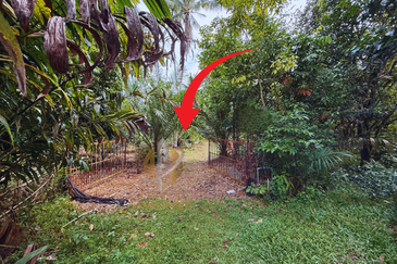 Tanah Kebun bersaiz 1.27 ekar di Kg. Jerung Seberang, Marang, Terengganu