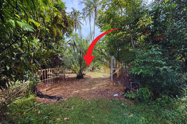 Tanah Kebun bersaiz 1.27 ekar di Kg. Jerung Seberang, Marang, Terengganu