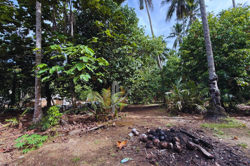 Tanah Kebun bersaiz 1.27 ekar di Kg. Jerung Seberang, Marang, Terengganu