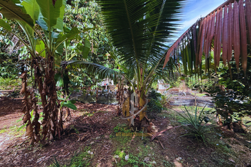 Tanah Kebun bersaiz 1.27 ekar di Kg. Jerung Seberang, Marang, Terengganu