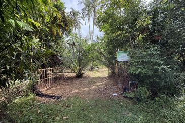 Tanah Kebun bersaiz 1.27 ekar di Kg. Jerung Seberang, Marang, Terengganu