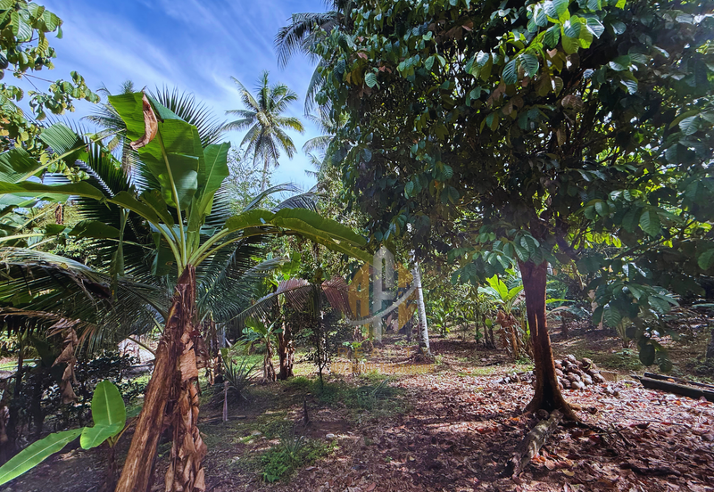 Tanah Kebun bersaiz 1.27 ekar di Kg. Jerung Seberang, Marang, Terengganu