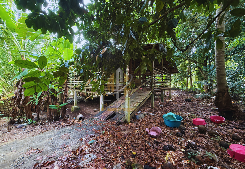 Tanah Kebun bersaiz 1.27 ekar di Kg. Jerung Seberang, Marang, Terengganu