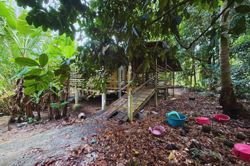 Tanah Kebun bersaiz 1.27 ekar di Kg. Jerung Seberang, Marang, Terengganu