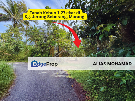 Tanah Kebun bersaiz 1.27 ekar di Kg. Jerung Seberang, Marang, Terengganu, Terengganu, Marang