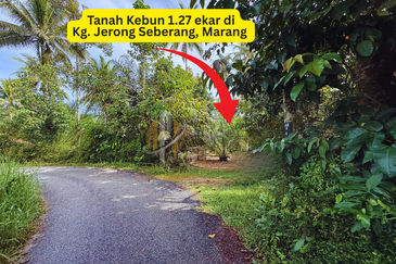 Tanah Kebun bersaiz 1.27 ekar di Kg. Jerung Seberang, Marang, Terengganu