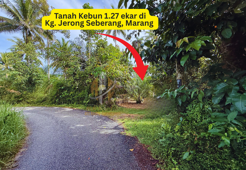 Tanah Kebun bersaiz 1.27 ekar di Kg. Jerung Seberang, Marang, Terengganu