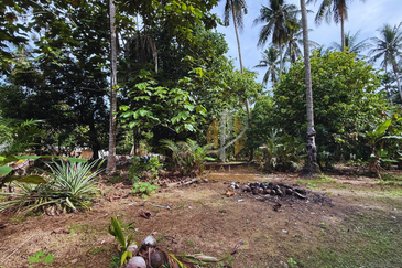 Tanah Kebun bersaiz 1.27 ekar di Kg. Jerung Seberang, Marang, Terengganu