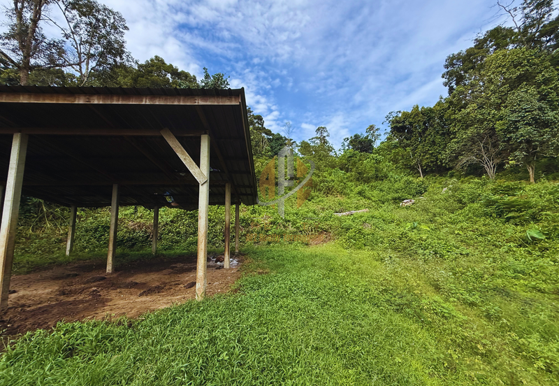 Tanah Kebun bersaiz 4.23 ekar di Kg. Jerung Seberang, Marang, Terengganu