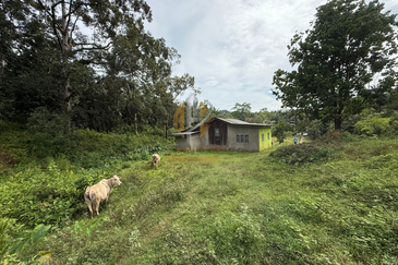 Tanah Kebun bersaiz 4.23 ekar di Kg. Jerung Seberang, Marang, Terengganu