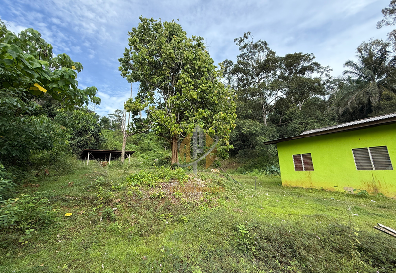 Tanah Kebun bersaiz 4.23 ekar di Kg. Jerung Seberang, Marang, Terengganu