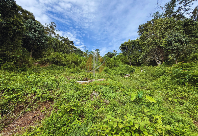 Tanah Kebun bersaiz 4.23 ekar di Kg. Jerung Seberang, Marang, Terengganu