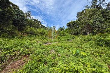 Tanah Kebun bersaiz 4.23 ekar di Kg. Jerung Seberang, Marang, Terengganu