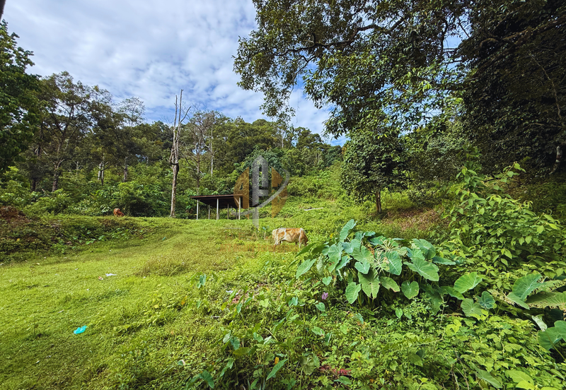 Tanah Kebun bersaiz 4.23 ekar di Kg. Jerung Seberang, Marang, Terengganu