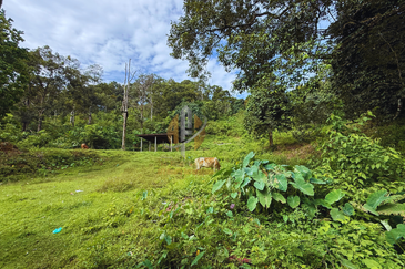 Tanah Kebun bersaiz 4.23 ekar di Kg. Jerung Seberang, Marang, Terengganu