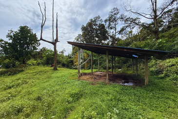 Tanah Kebun bersaiz 4.23 ekar di Kg. Jerung Seberang, Marang, Terengganu