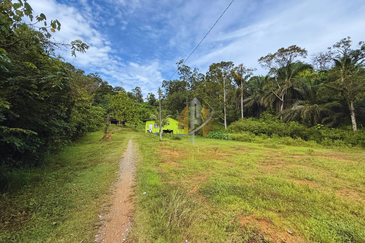 Tanah Kebun bersaiz 4.23 ekar di Kg. Jerung Seberang, Marang, Terengganu