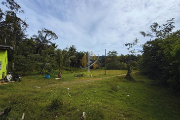 Tanah Kebun bersaiz 4.23 ekar di Kg. Jerung Seberang, Marang, Terengganu