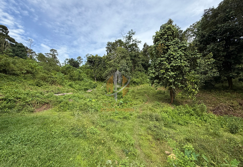 Tanah Kebun bersaiz 4.23 ekar di Kg. Jerung Seberang, Marang, Terengganu