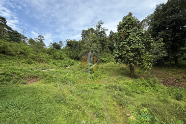 Tanah Kebun bersaiz 4.23 ekar di Kg. Jerung Seberang, Marang, Terengganu