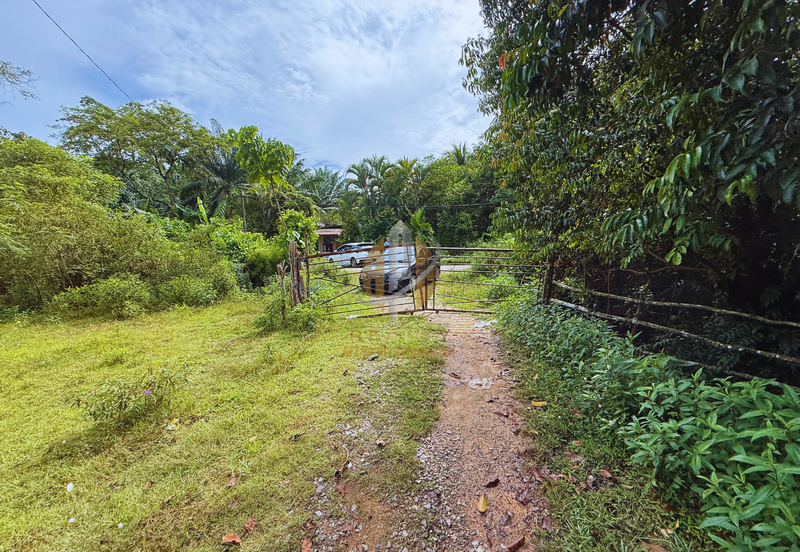 Tanah Kebun bersaiz 4.23 ekar di Kg. Jerung Seberang, Marang, Terengganu