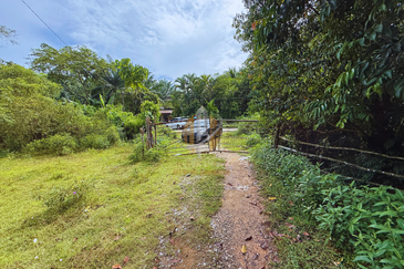 Tanah Kebun bersaiz 4.23 ekar di Kg. Jerung Seberang, Marang, Terengganu