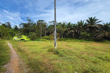 Tanah Kebun bersaiz 4.23 ekar di Kg. Jerung Seberang, Marang, Terengganu