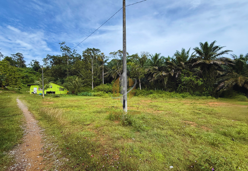 Tanah Kebun bersaiz 4.23 ekar di Kg. Jerung Seberang, Marang, Terengganu