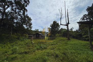 Tanah Kebun bersaiz 4.23 ekar di Kg. Jerung Seberang, Marang, Terengganu