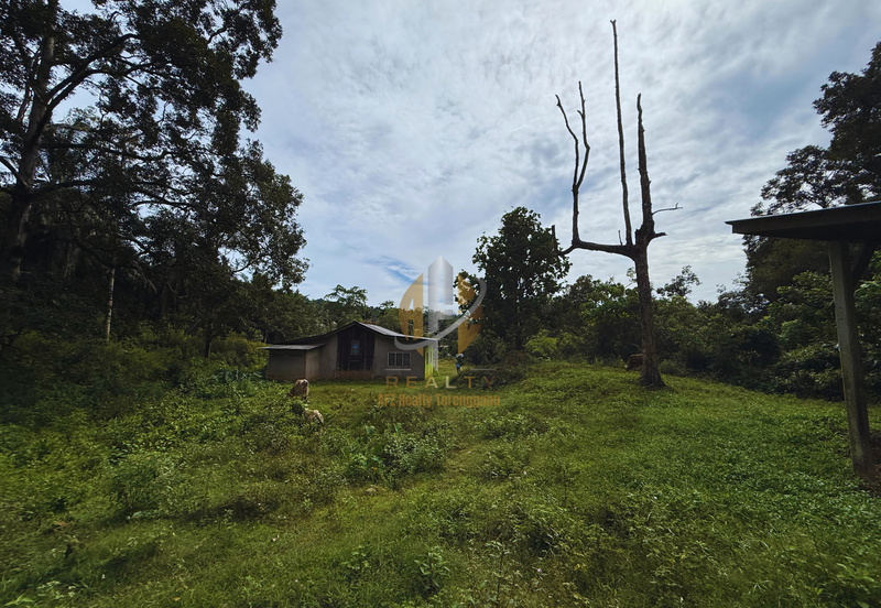 Tanah Kebun bersaiz 4.23 ekar di Kg. Jerung Seberang, Marang, Terengganu