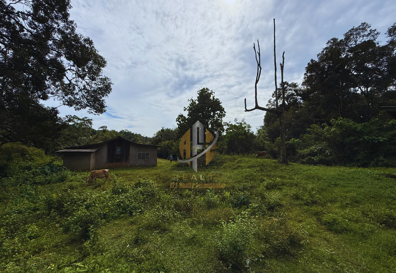 Tanah Kebun bersaiz 4.23 ekar di Kg. Jerung Seberang, Marang, Terengganu