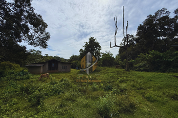 Tanah Kebun bersaiz 4.23 ekar di Kg. Jerung Seberang, Marang, Terengganu