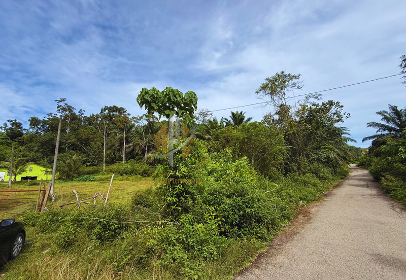 Tanah Kebun bersaiz 4.23 ekar di Kg. Jerung Seberang, Marang, Terengganu