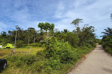 Tanah Kebun bersaiz 4.23 ekar di Kg. Jerung Seberang, Marang, Terengganu