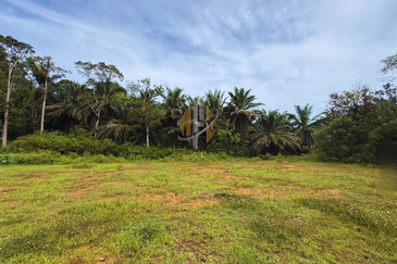 Tanah Kebun bersaiz 4.23 ekar di Kg. Jerung Seberang, Marang, Terengganu