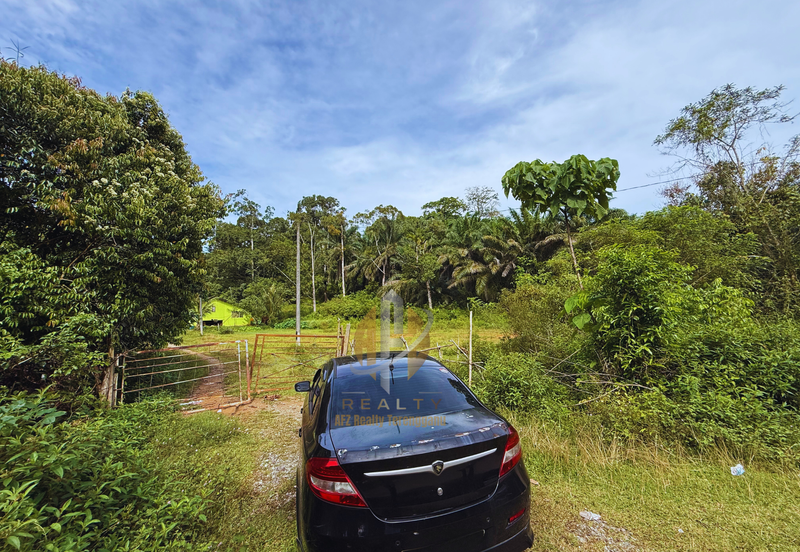 Tanah Kebun bersaiz 4.23 ekar di Kg. Jerung Seberang, Marang, Terengganu