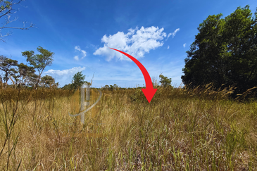 Lot Banglo bersaiz 344m²  di Pulau Kerengga, Marang, Terengganu berdekatan Asrama PERKAYA & Penjara Marang