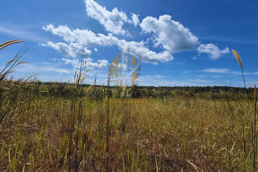 Lot Banglo bersaiz 344m²  di Pulau Kerengga, Marang, Terengganu berdekatan Asrama PERKAYA & Penjara Marang
