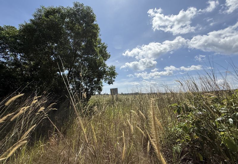 Lot Banglo bersaiz 344m²  di Pulau Kerengga, Marang, Terengganu berdekatan Asrama PERKAYA & Penjara Marang