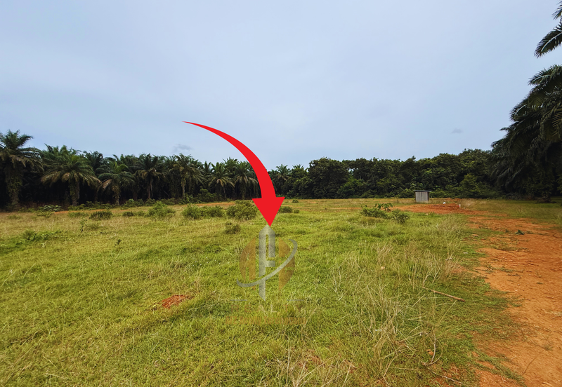 Lot Banglo bersaiz 530m²  di Kg. Bukit Perpat, Ajil, Terengganu