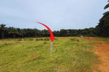 Lot Banglo bersaiz 530m²  di Kg. Bukit Perpat, Ajil, Terengganu