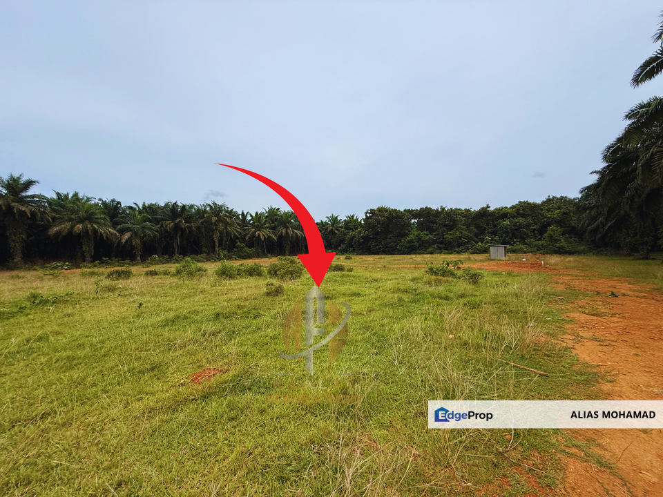 Lot Banglo bersaiz 530m²  di Kg. Bukit Perpat, Ajil, Terengganu, Terengganu, Ajil