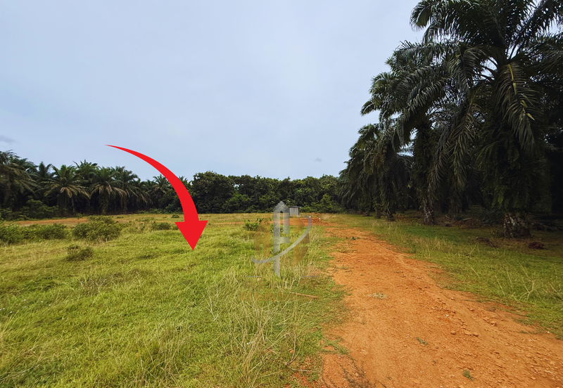 Lot Banglo bersaiz 530m²  di Kg. Bukit Perpat, Ajil, Terengganu