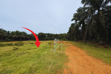 Lot Banglo bersaiz 530m²  di Kg. Bukit Perpat, Ajil, Terengganu