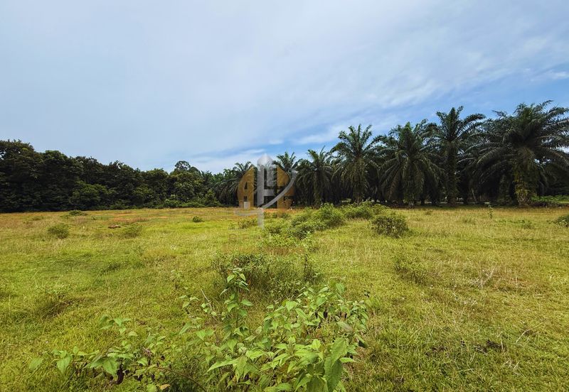 Lot Banglo bersaiz 530m²  di Kg. Bukit Perpat, Ajil, Terengganu