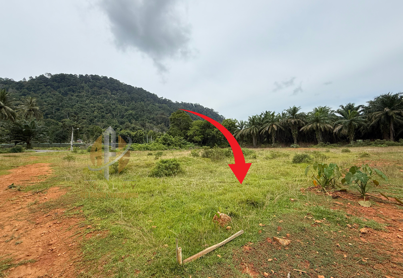 Lot Banglo bersaiz 530m²  di Kg. Bukit Perpat, Ajil, Terengganu