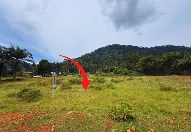 Lot Banglo bersaiz 530m²  di Kg. Bukit Perpat, Ajil, Terengganu