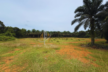Lot Banglo bersaiz 530m²  di Kg. Bukit Perpat, Ajil, Terengganu