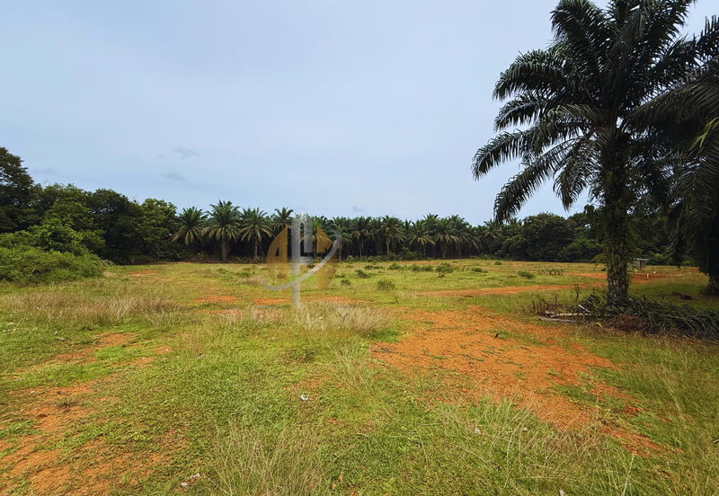 Lot Banglo bersaiz 530m²  di Kg. Bukit Perpat, Ajil, Terengganu