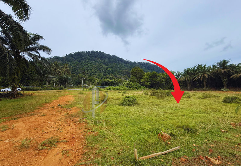 Lot Banglo bersaiz 530m²  di Kg. Bukit Perpat, Ajil, Terengganu